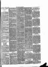 Ludlow Advertiser Saturday 15 March 1890 Page 3