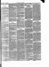 Ludlow Advertiser Saturday 05 April 1890 Page 3