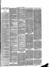 Ludlow Advertiser Saturday 19 April 1890 Page 7