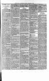Ludlow Advertiser Saturday 31 January 1891 Page 7