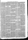 Ludlow Advertiser Saturday 10 February 1894 Page 3