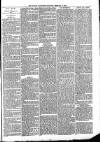 Ludlow Advertiser Saturday 17 February 1894 Page 3