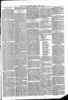 Ludlow Advertiser Saturday 03 March 1894 Page 3