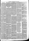 Ludlow Advertiser Saturday 17 March 1894 Page 3