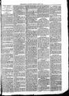 Ludlow Advertiser Saturday 12 May 1894 Page 3