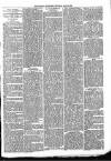 Ludlow Advertiser Saturday 19 May 1894 Page 3