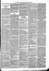 Ludlow Advertiser Saturday 21 July 1894 Page 7