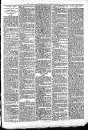 Ludlow Advertiser Saturday 08 December 1894 Page 3