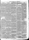 Ludlow Advertiser Saturday 29 December 1894 Page 7