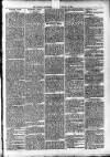Ludlow Advertiser Saturday 05 January 1895 Page 3