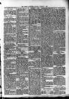Ludlow Advertiser Saturday 05 January 1895 Page 4