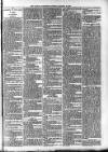 Ludlow Advertiser Saturday 19 January 1895 Page 6