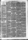 Ludlow Advertiser Saturday 02 March 1895 Page 6