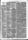 Ludlow Advertiser Saturday 23 March 1895 Page 2
