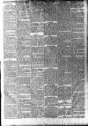 Ludlow Advertiser Saturday 03 February 1900 Page 3