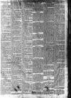 Ludlow Advertiser Saturday 10 February 1900 Page 3