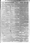 Ludlow Advertiser Saturday 03 March 1900 Page 3