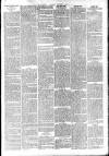Ludlow Advertiser Saturday 01 September 1900 Page 3