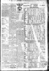 Ludlow Advertiser Saturday 22 December 1900 Page 7