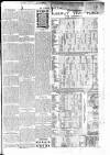 Ludlow Advertiser Saturday 29 December 1900 Page 7