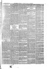 The Salisbury Times Saturday 16 May 1874 Page 3