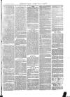 The Salisbury Times Saturday 19 December 1874 Page 7