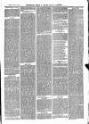 The Salisbury Times Saturday 19 June 1875 Page 3