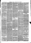The Salisbury Times Saturday 10 July 1875 Page 7