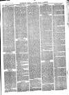 The Salisbury Times Saturday 01 January 1876 Page 3
