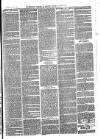 The Salisbury Times Saturday 04 March 1876 Page 7