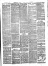 The Salisbury Times Saturday 27 May 1876 Page 3
