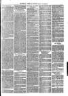 The Salisbury Times Saturday 13 January 1877 Page 7