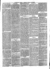 The Salisbury Times Saturday 27 January 1877 Page 3