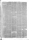 The Salisbury Times Saturday 19 January 1878 Page 3