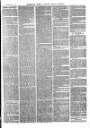 The Salisbury Times Saturday 02 February 1878 Page 3