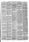 The Salisbury Times Saturday 23 March 1878 Page 3