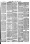 The Salisbury Times Saturday 06 April 1878 Page 3