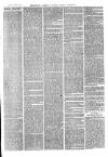 The Salisbury Times Saturday 13 April 1878 Page 3