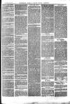 The Salisbury Times Saturday 01 June 1878 Page 7