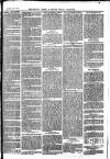 The Salisbury Times Saturday 06 July 1878 Page 3