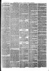 The Salisbury Times Saturday 06 July 1878 Page 7