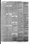 The Salisbury Times Saturday 03 August 1878 Page 7