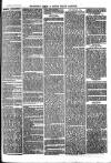 The Salisbury Times Saturday 10 August 1878 Page 3