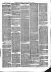 The Salisbury Times Saturday 05 April 1879 Page 3