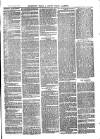 The Salisbury Times Saturday 06 March 1880 Page 3