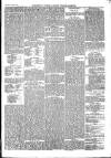 The Salisbury Times Saturday 12 June 1880 Page 5