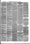 The Salisbury Times Saturday 04 September 1880 Page 3