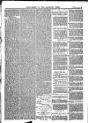 The Salisbury Times Saturday 13 November 1880 Page 10