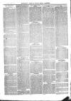 The Salisbury Times Saturday 02 April 1881 Page 3