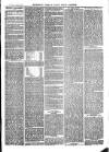 The Salisbury Times Saturday 09 April 1881 Page 3
